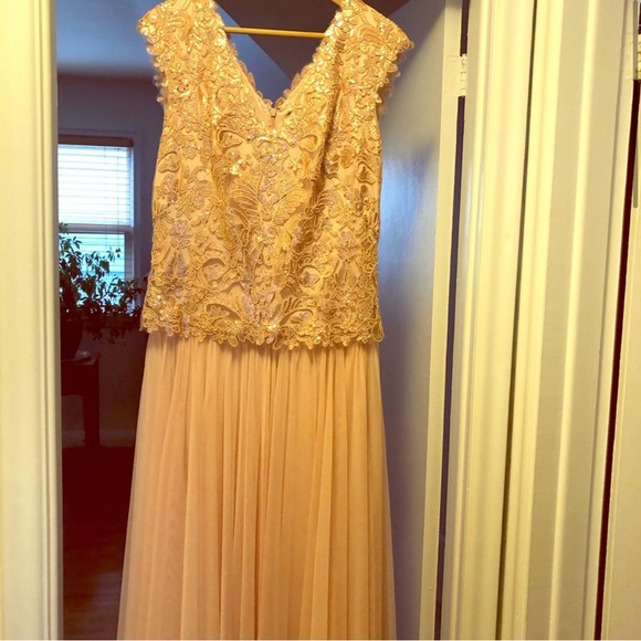 Tadashi Shoji Intricate Pink Lace, Chiffon & Tulle Ballgown - Picture 2 of 5